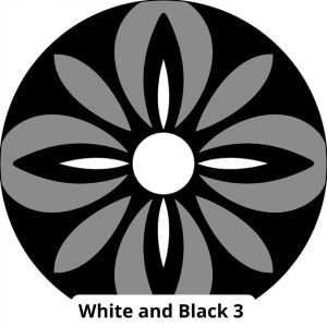 White and Black 3